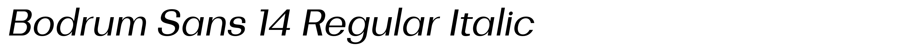 Bodrum Sans 14 Regular Italic